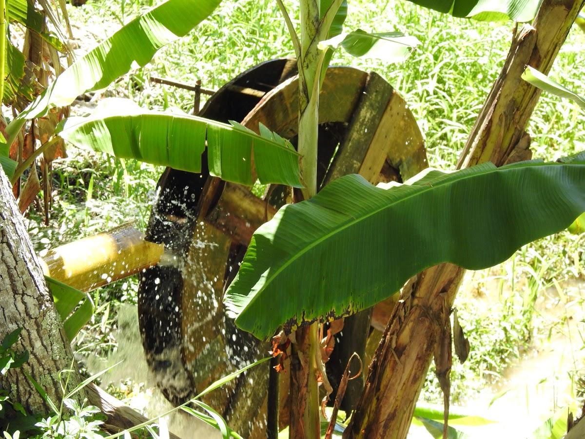 Estância São Lucas