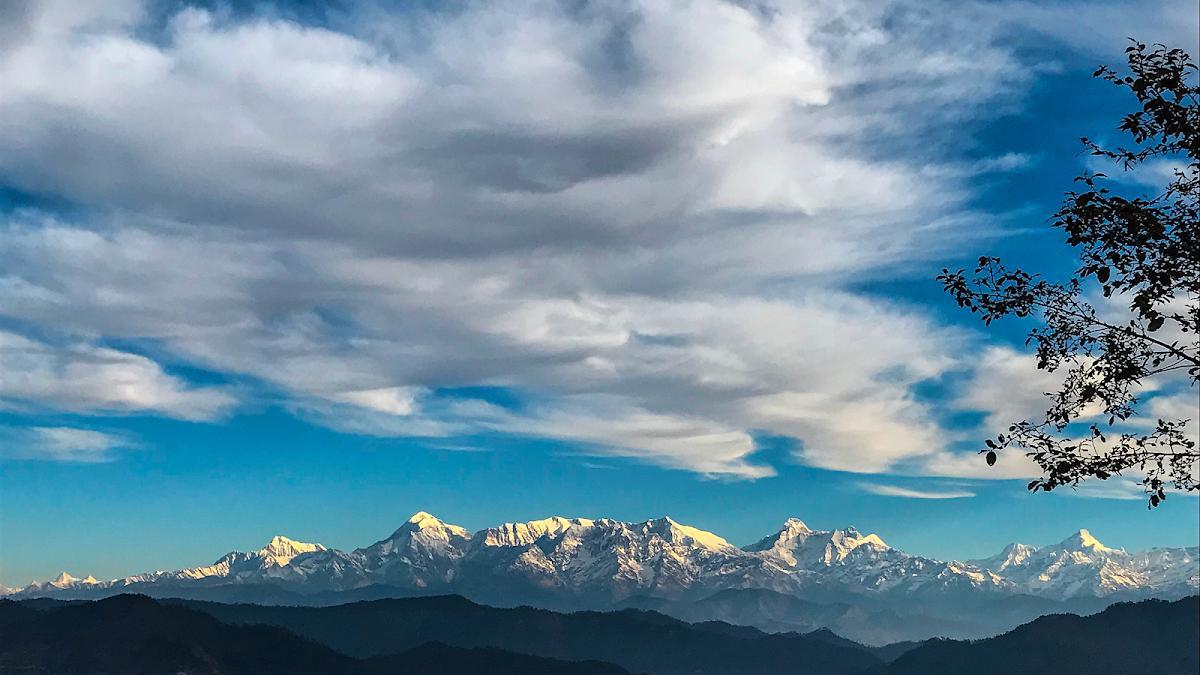 THE HIMALAYAN TEA HOUSE