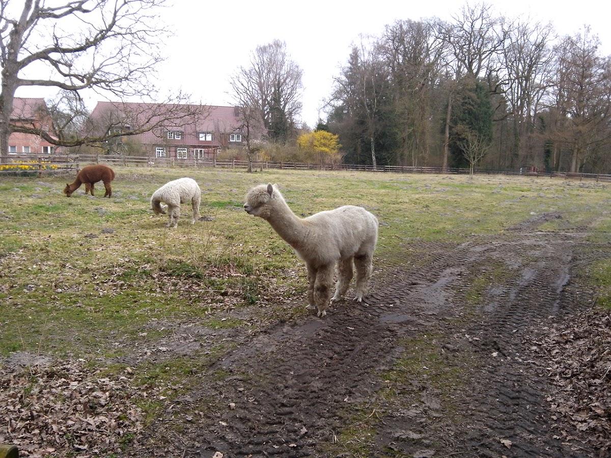 Grafel Farm
