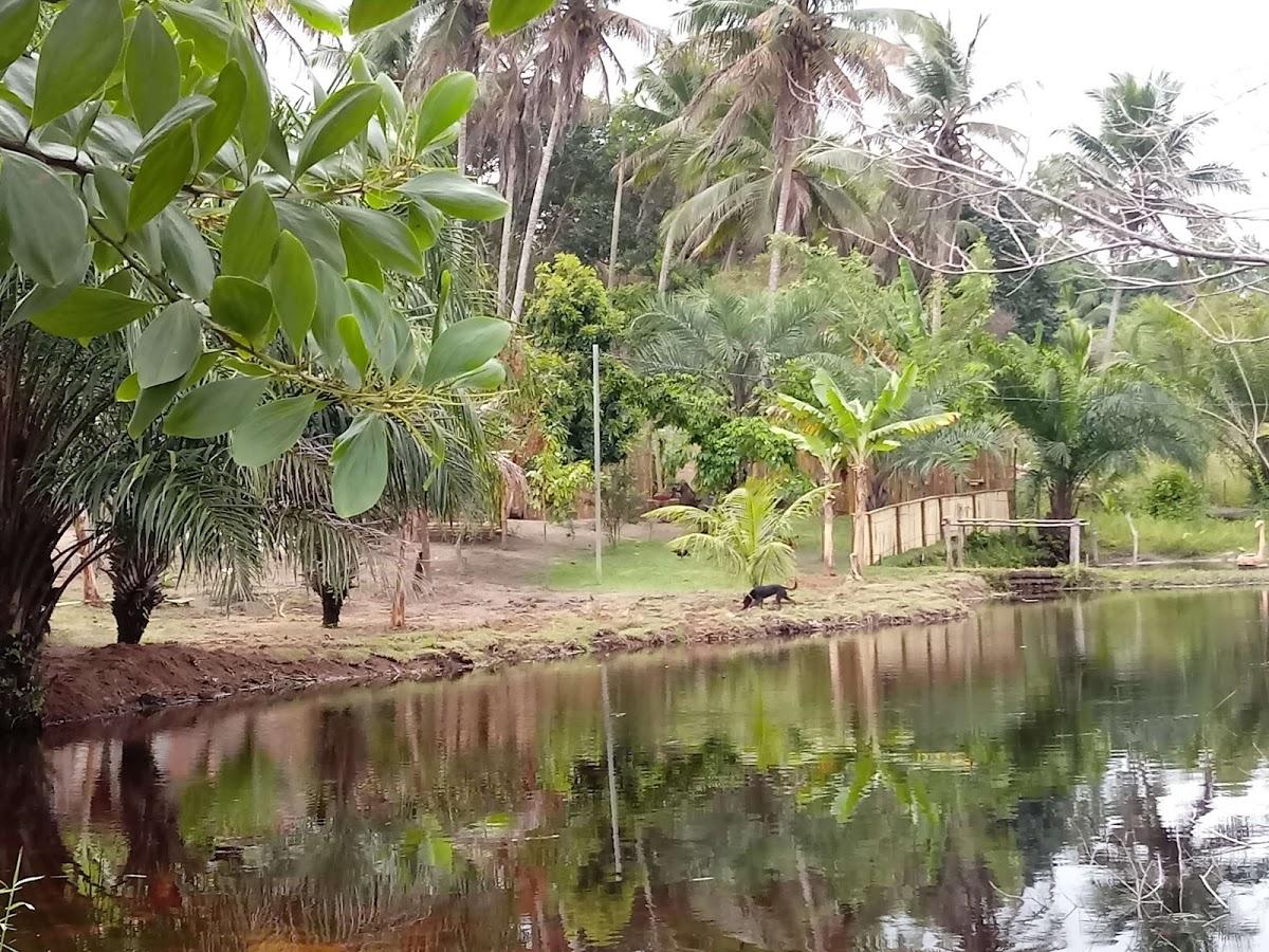 Restaurante Beira-rio