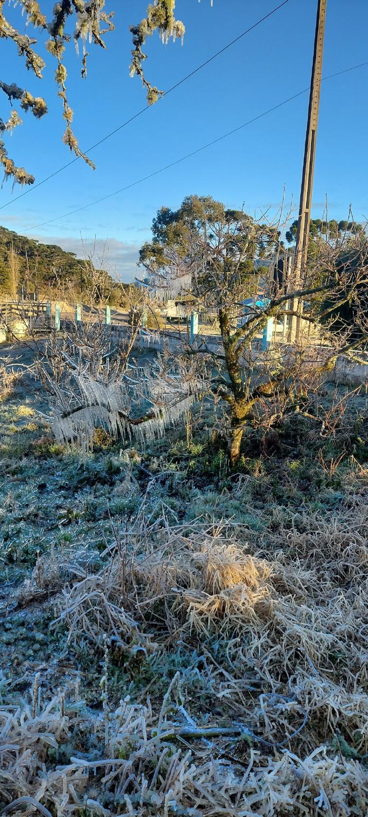 Pousada Sabor da Roça