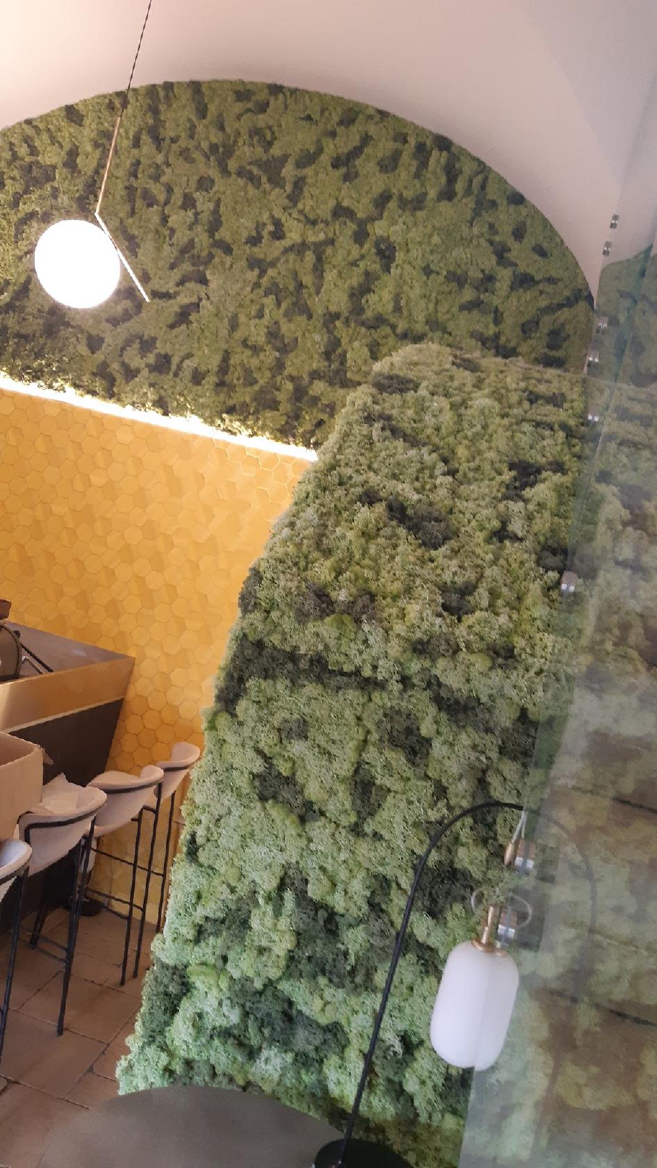 Forentum Food Evolution