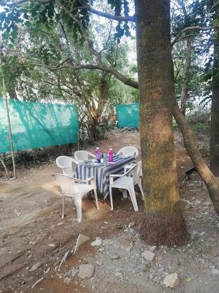 Lonavala's Biryani House