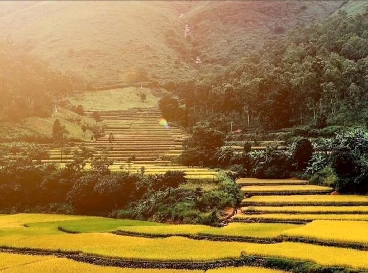 Leh Manali Hwy Restaurant