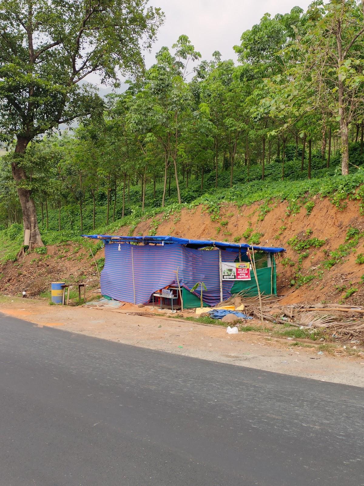 Honey Tree Restaurant