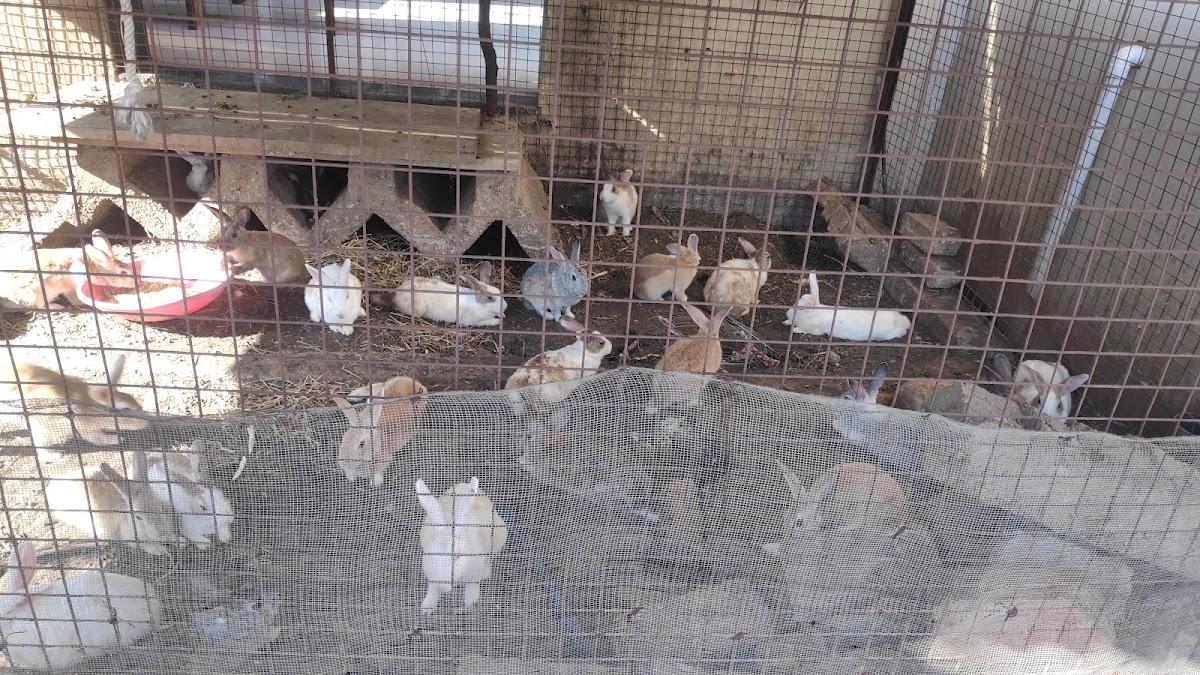 Nandi Family Lunch Home Restaurant