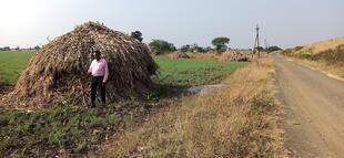 Haveli Restaurant & Dhaba