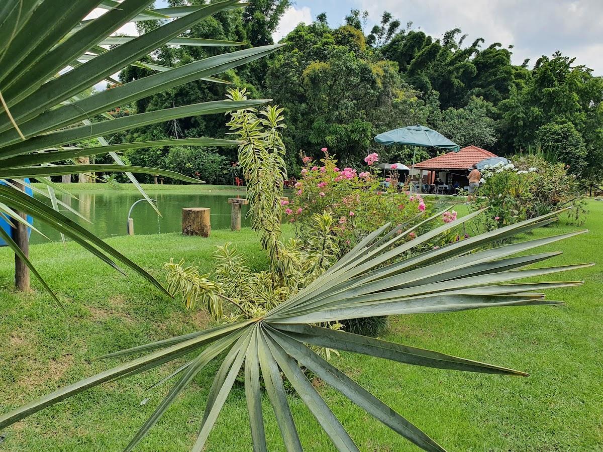 RESTAURANTE E PESQUE E PAGUE RECANTO DA MATA