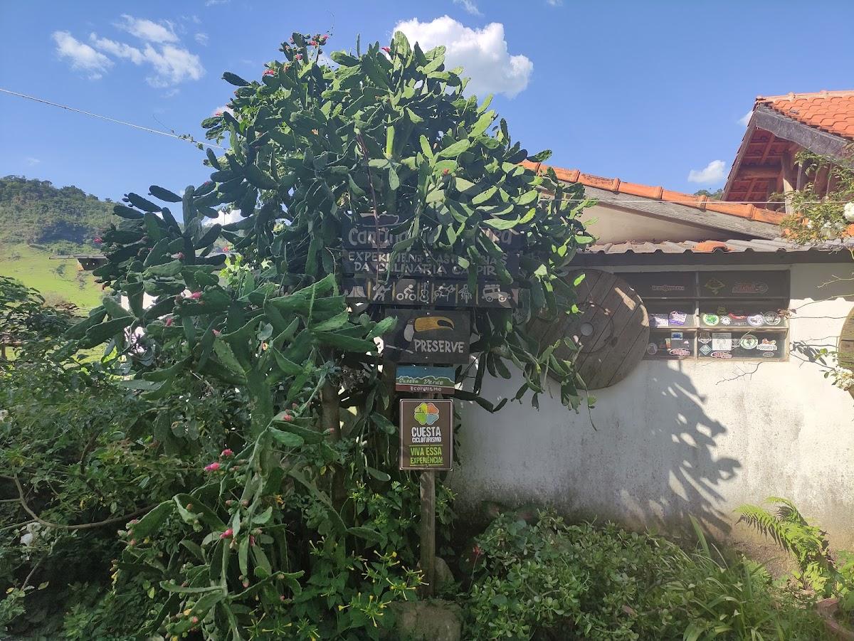 Cantina Da Figueira e Pousada.