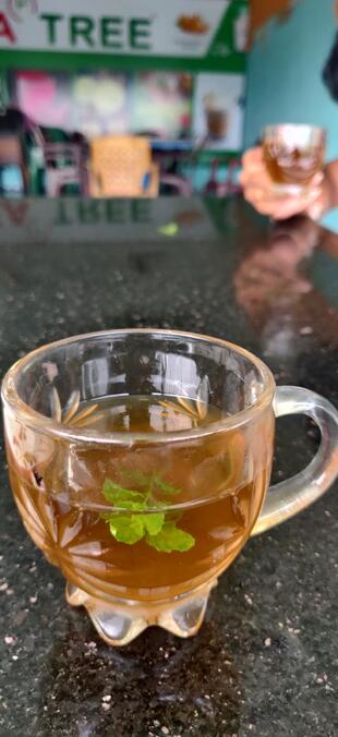 Tea Tree And Resturant