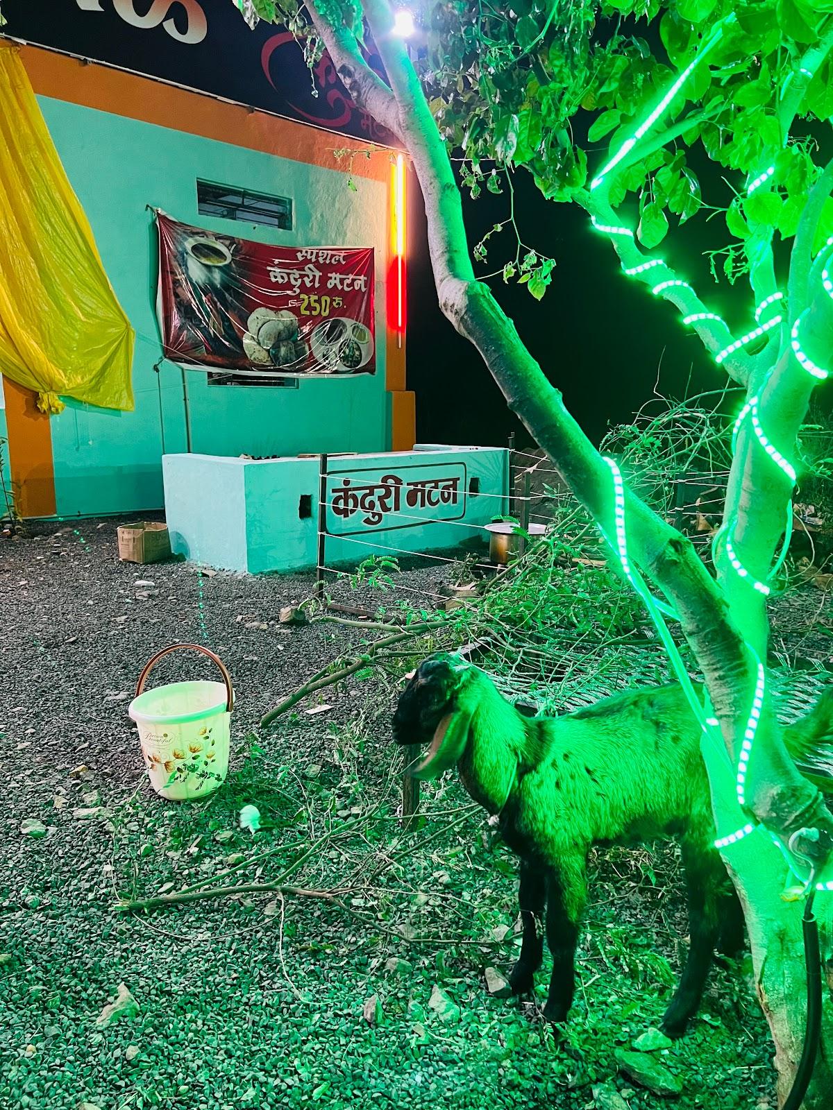 हॉटेल न्यू नंदनवन . नॉनव्हेज खानावळ