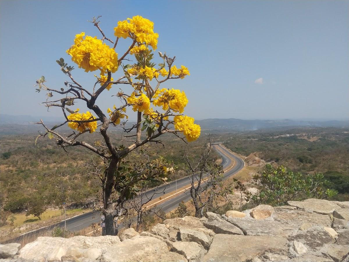 Mirante de Goiás - Quiosque do Vovo João de Barros