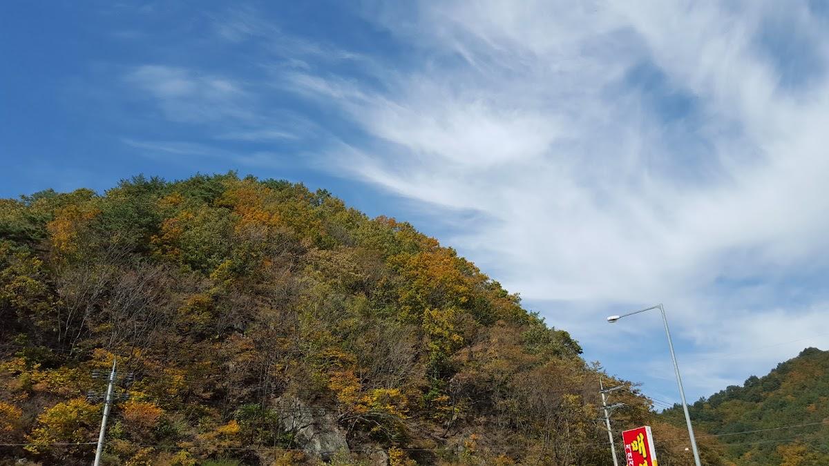 본가황태판매장