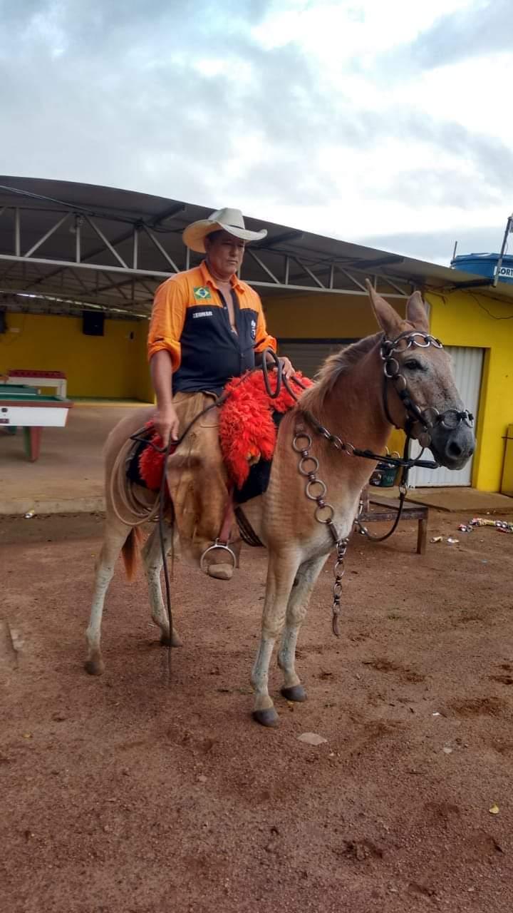 Campo e Bar do Palmerinha