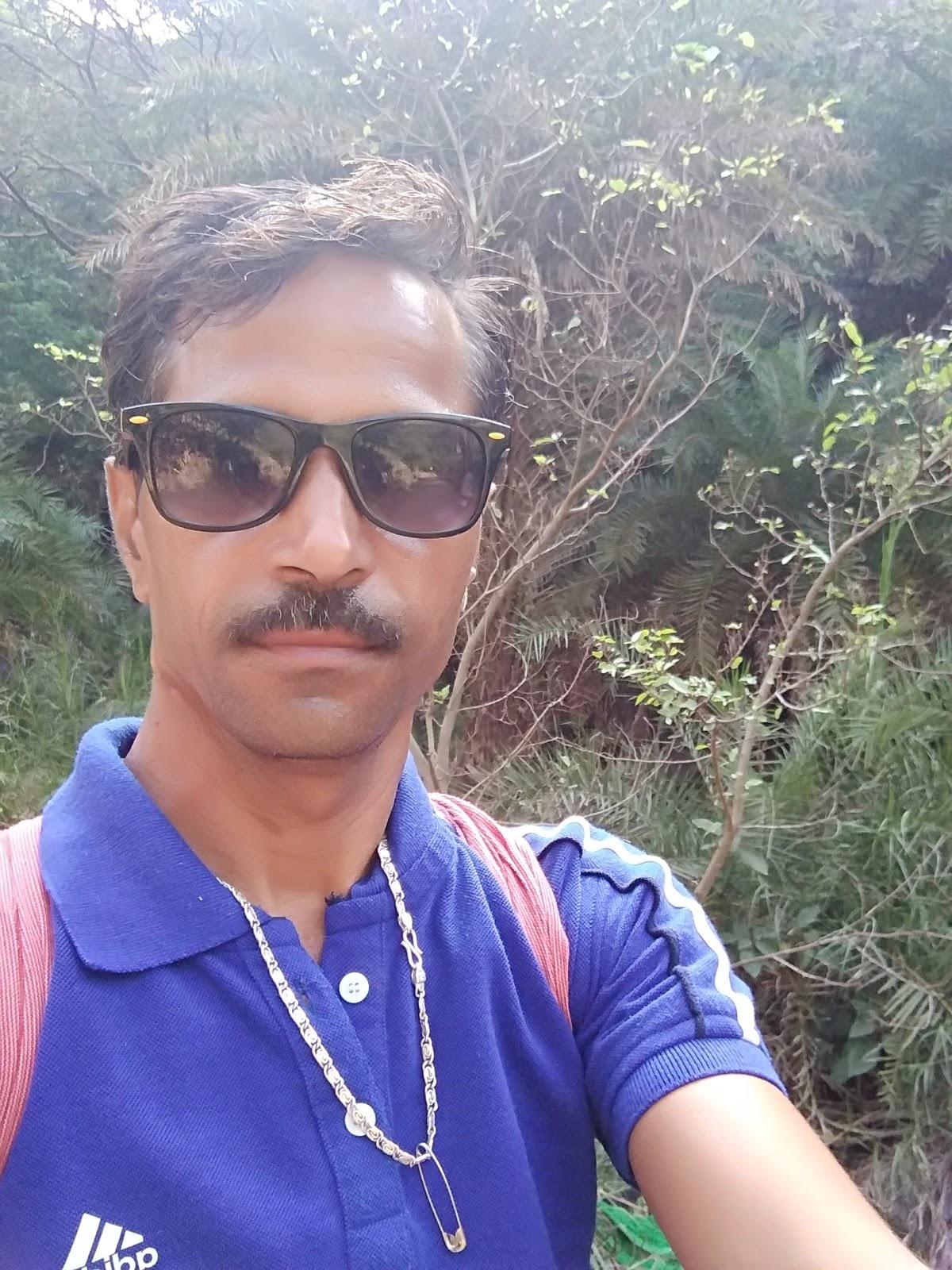 Sharma Studio & Restaurant