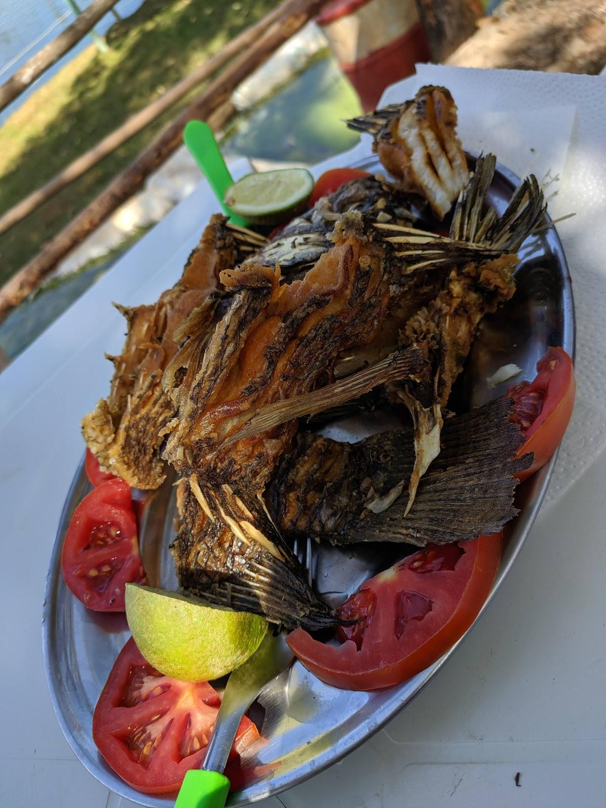 Pesque Pague do Naldo