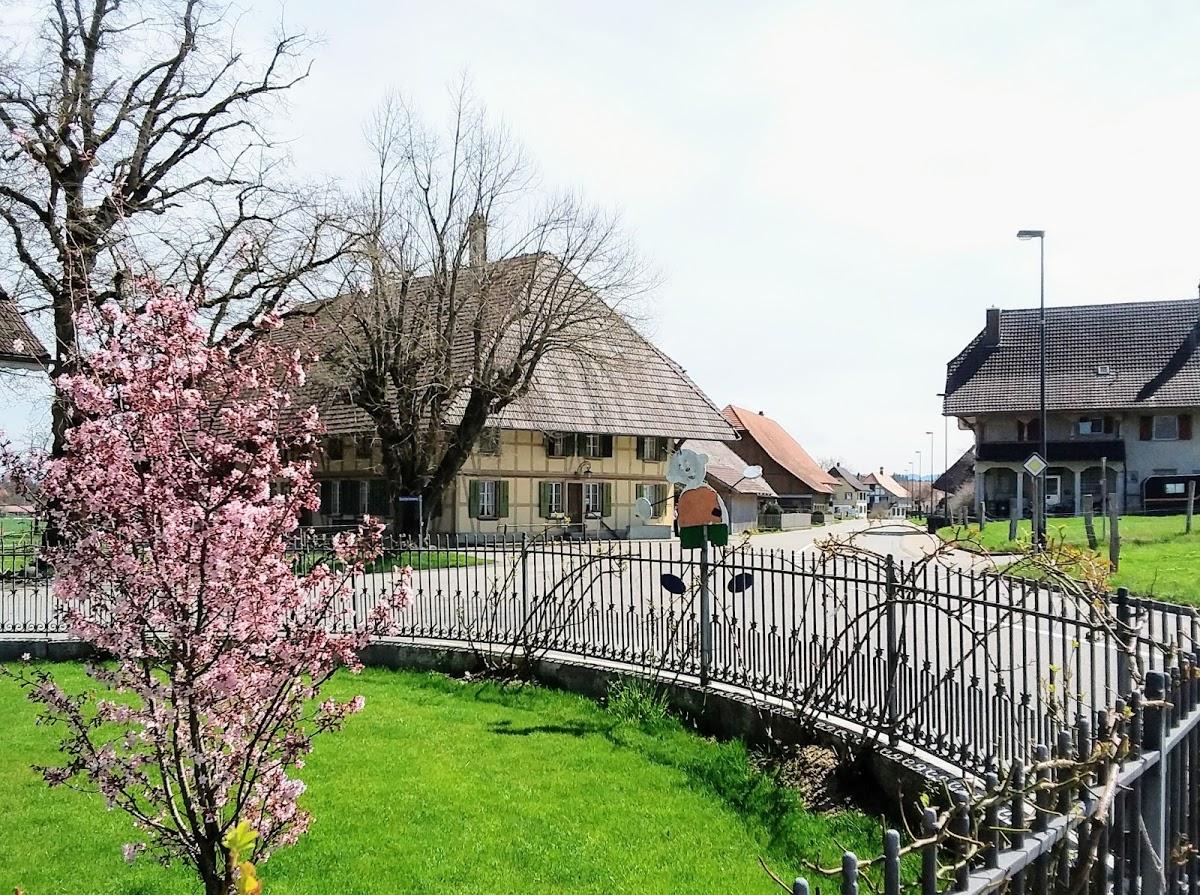 z. Rössli