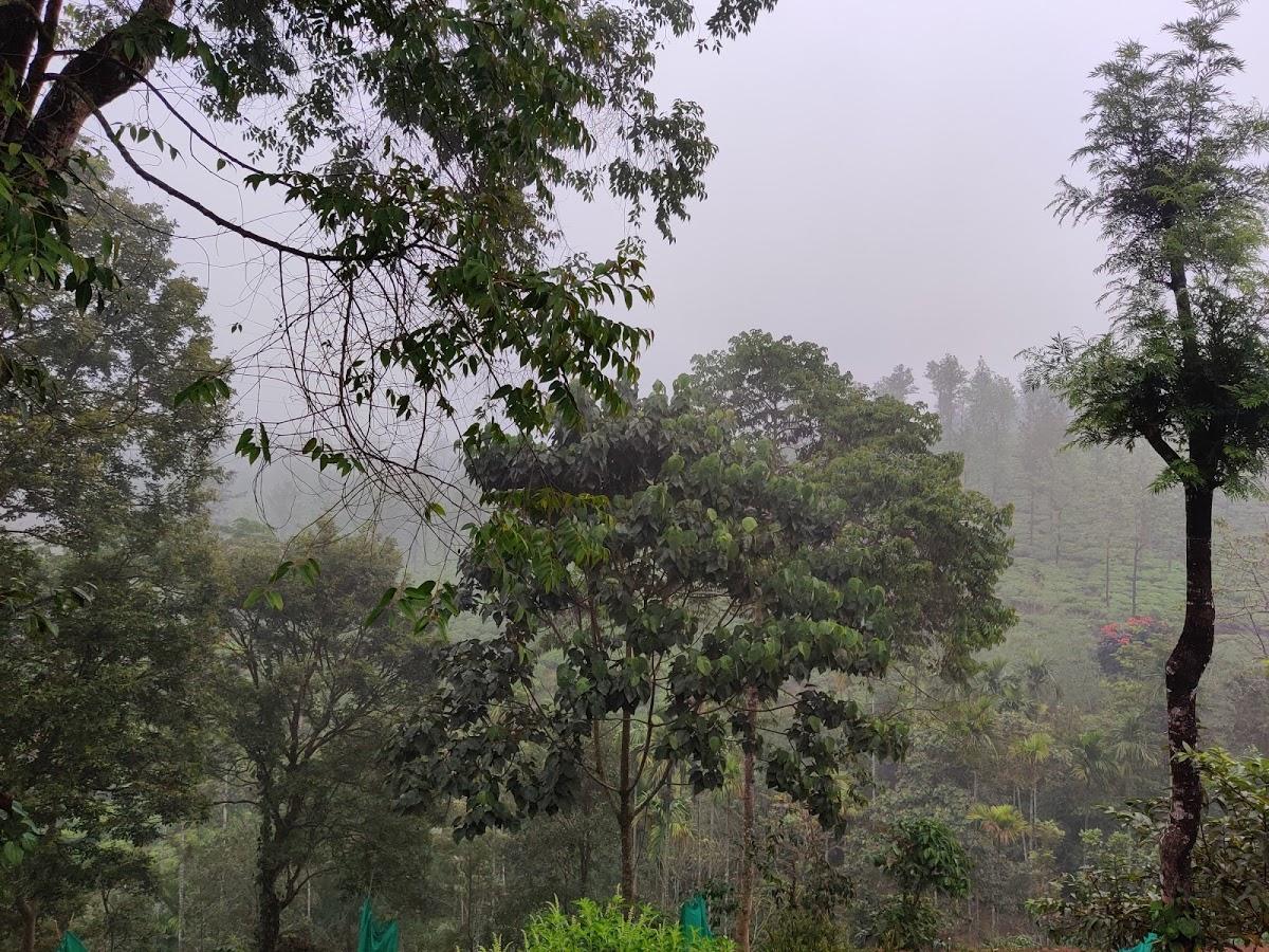 Green Garden Food Inn