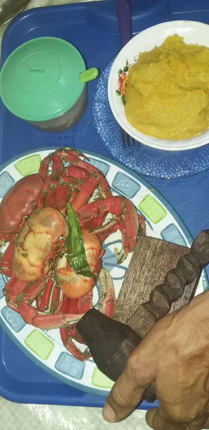 Barraca da jak procura Jorge ou laurinda