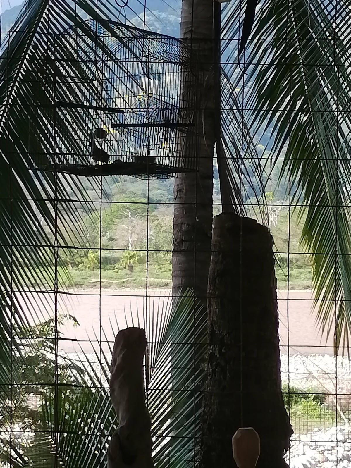 Marisquería y Restaurante El Rio