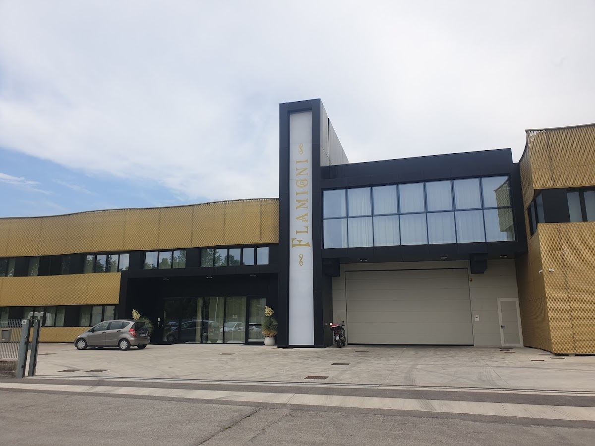 Flamigni srl