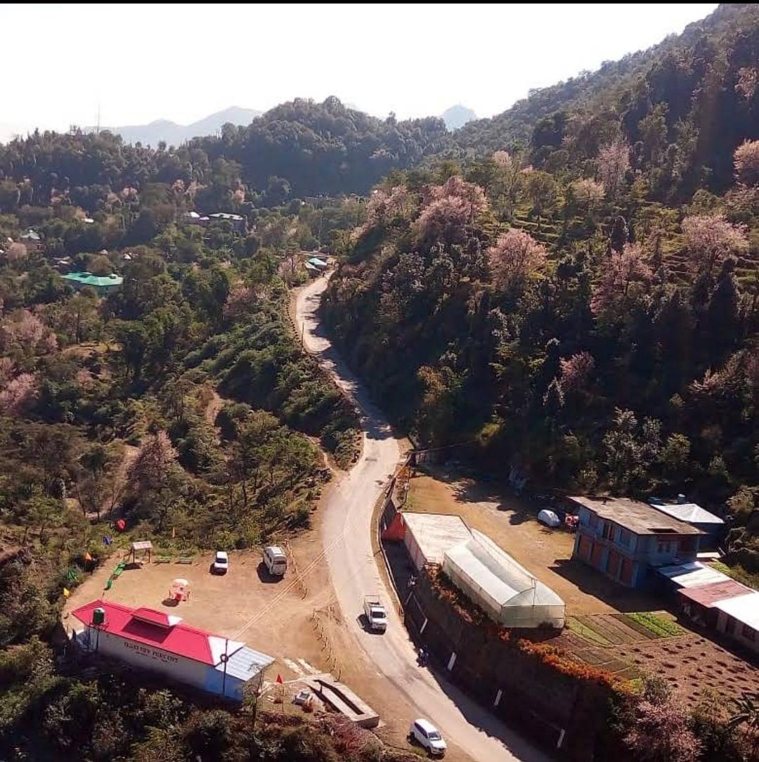 Valley view picnic spot