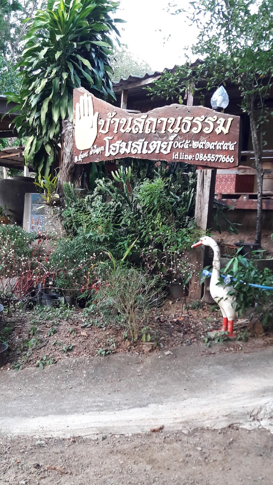 ครัวบ้านป่า