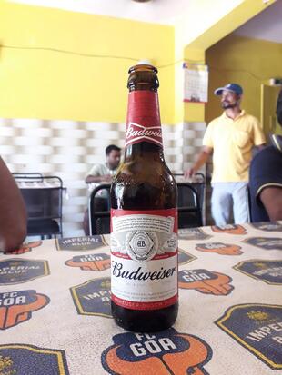 Rlven Surya Bar And Restaurent