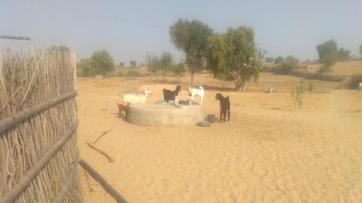 विष्णु भोजनालय