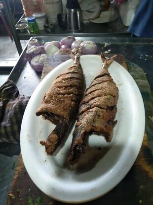 Hotel Jyoti pure veg family restaurant