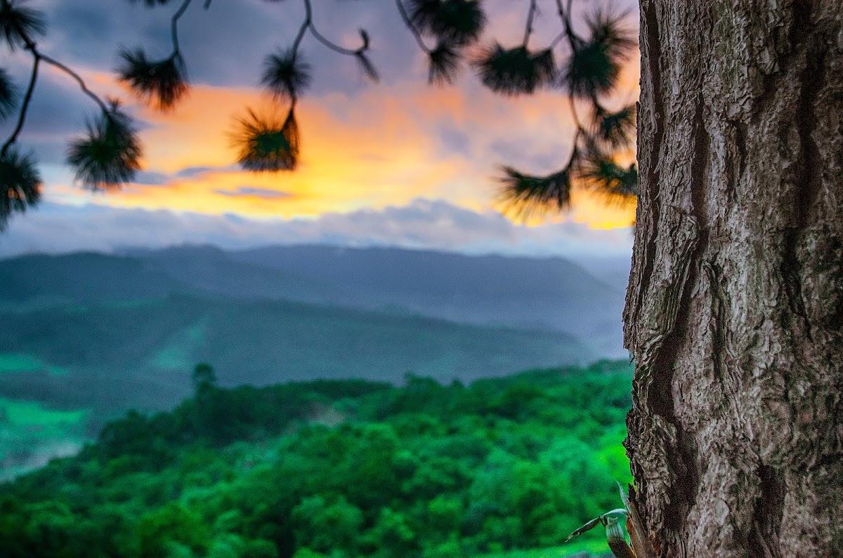Sítio Vista Alegre - Mirante dos Agudos