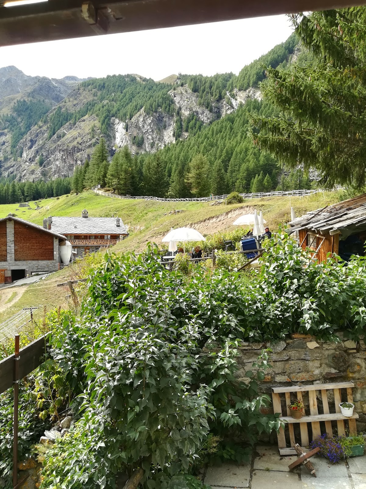 Hotel Ristorante Paradisia