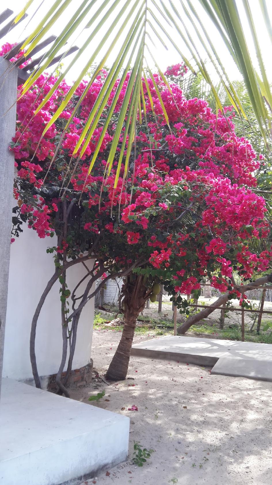 Pousada Maresia Atins