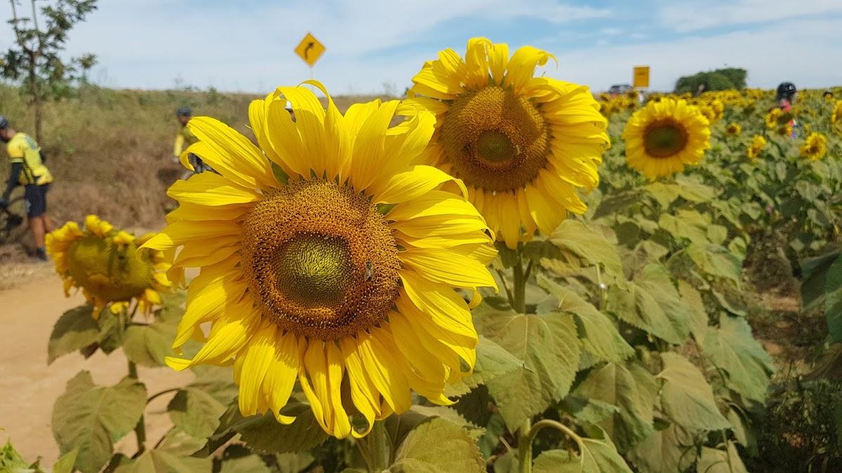 Restaurante Nossa Senhora Aparecida