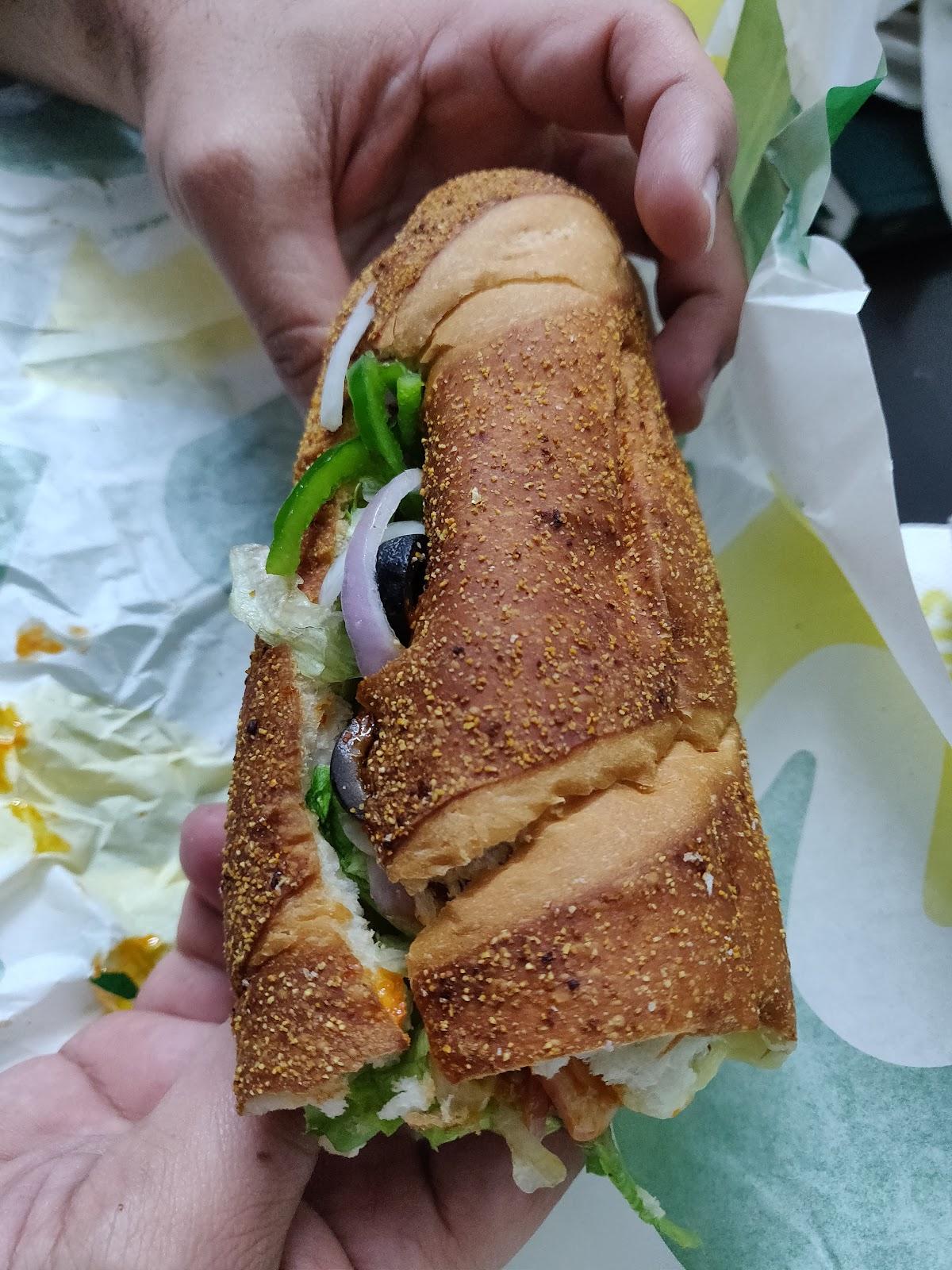 Subway Malhar Mega Mall