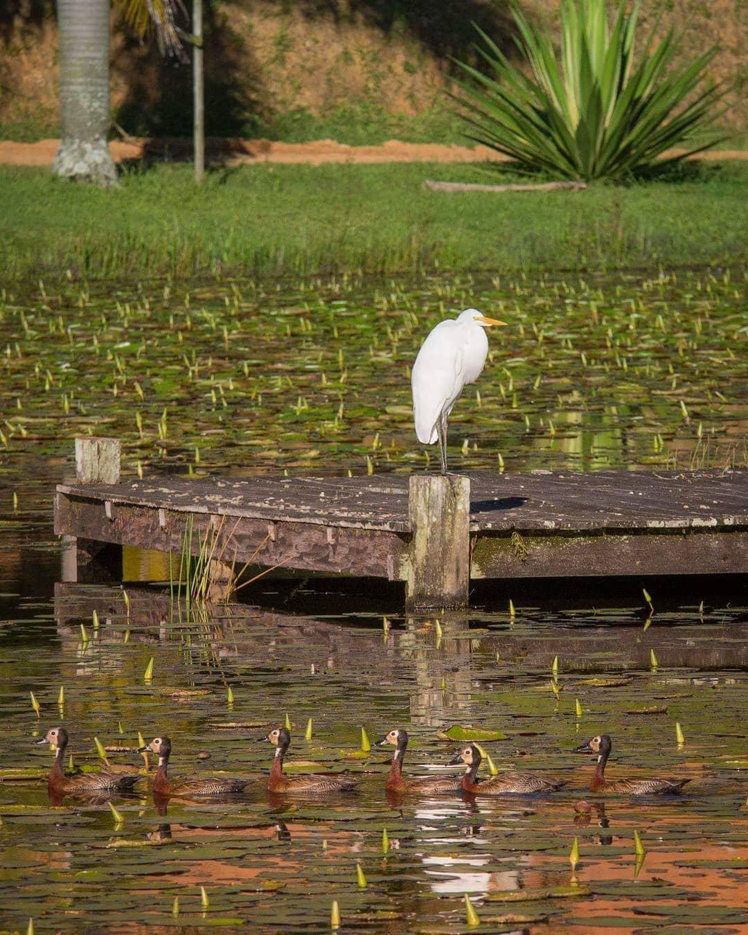 Restaurante Reserva Aroeira