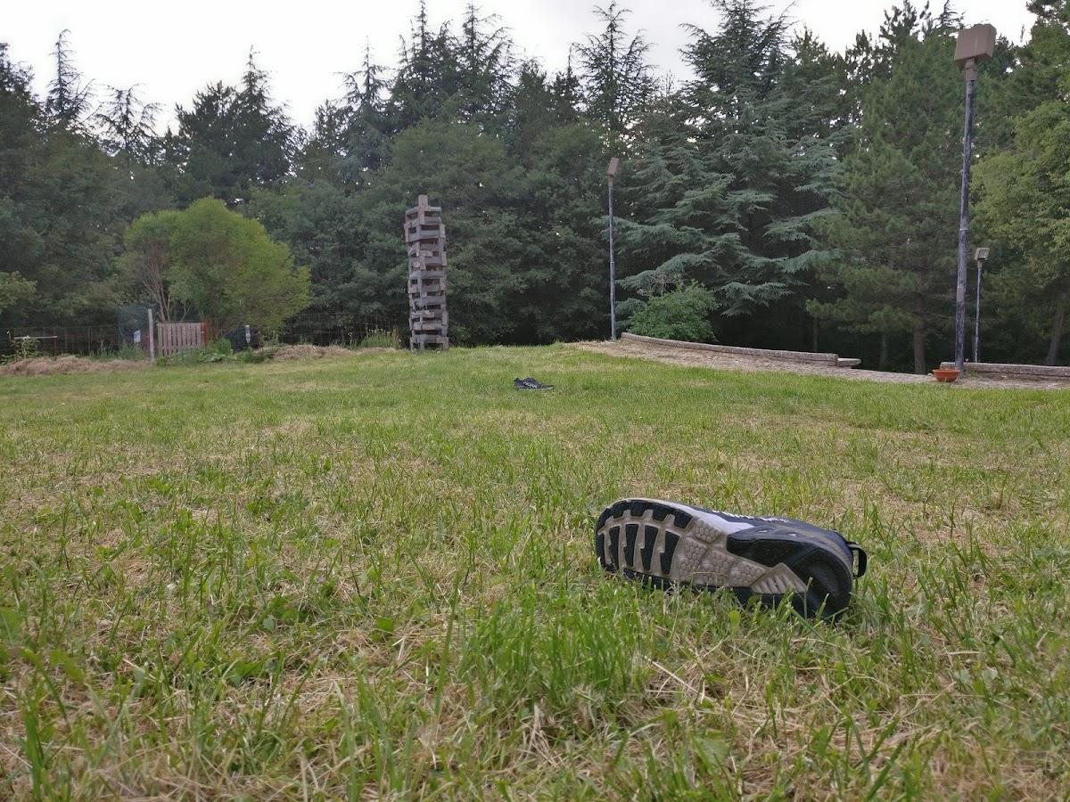 Podere Pietraporciana - Centro visite della Riserva naturale - ostello, ristoro, educazione ambientale