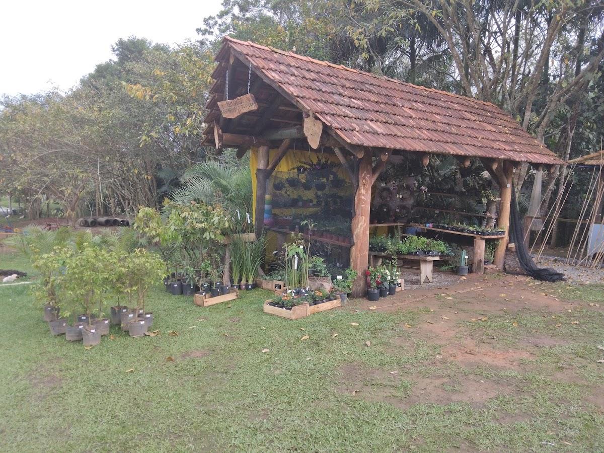 Mina Velha Pesque-Pague e Restaurante