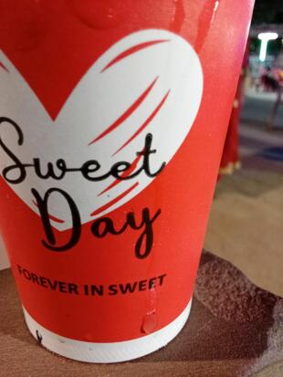 गिरधारी चाय वाले (राजस्थान बॉर्डर)