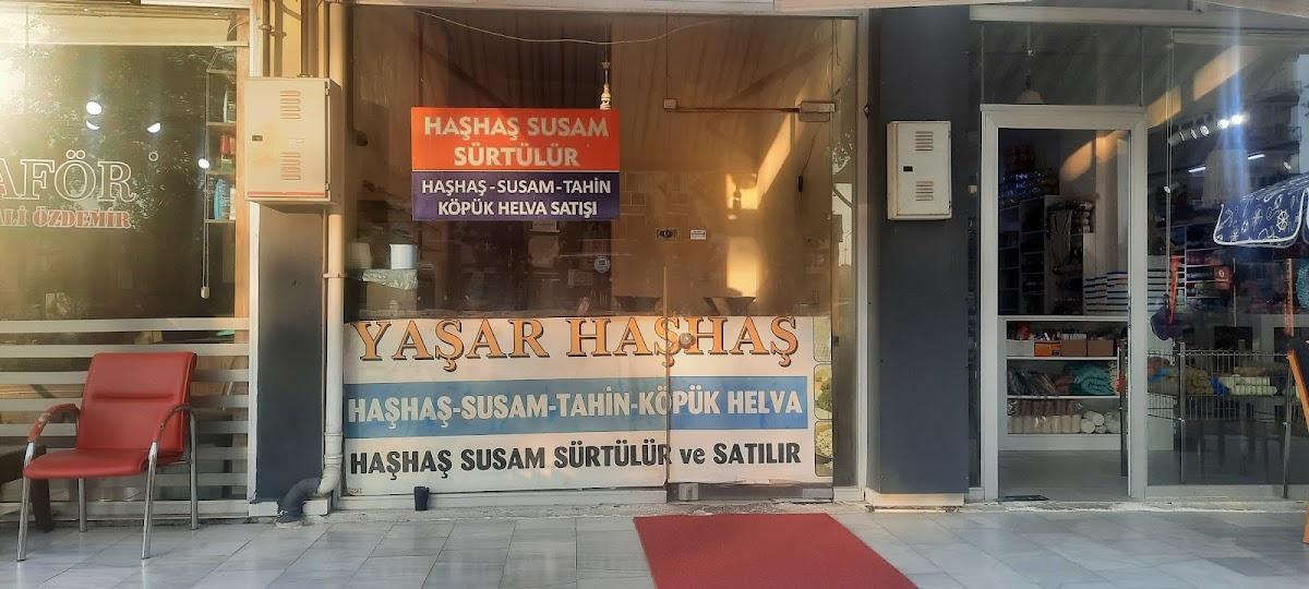 Yaşar Haşhaş