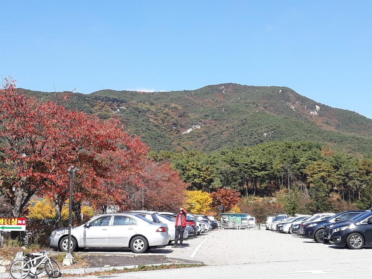 Kapesun