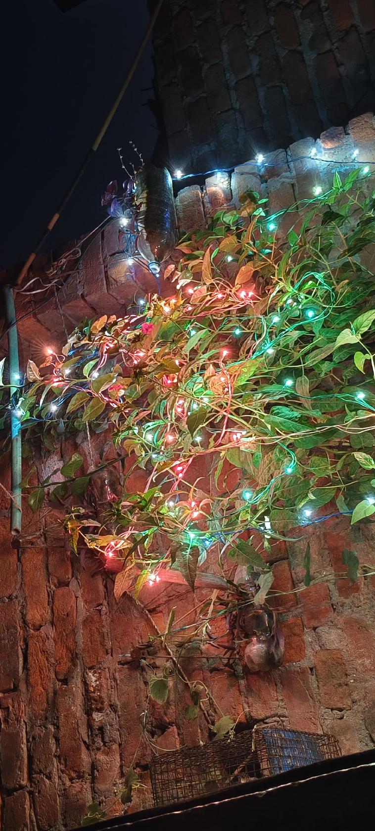 Zam Zam Haleem Biryani