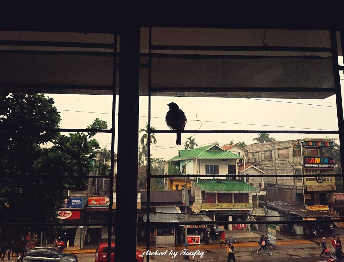 Boithhekkhana Malbazar বই ঠেক খানা মালবাজার