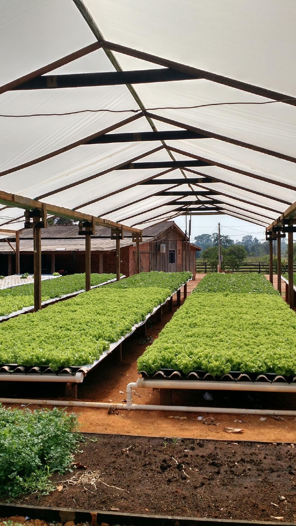 PANIFICADORA DOCE MEL