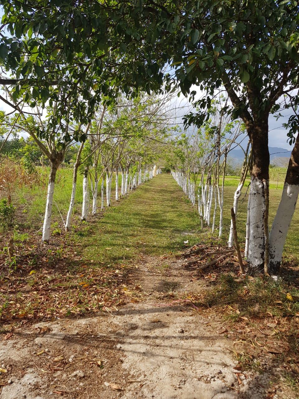 Rancho El Edén