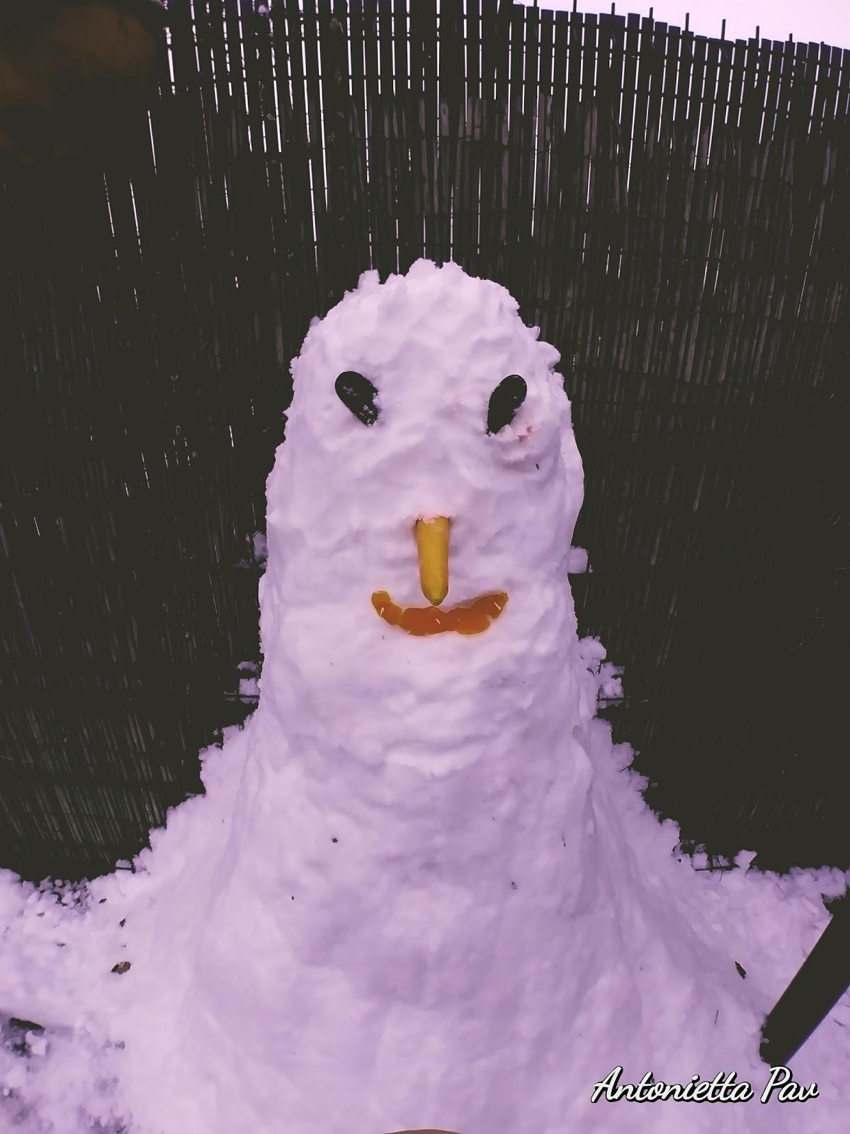 isola fiorita fuori porta