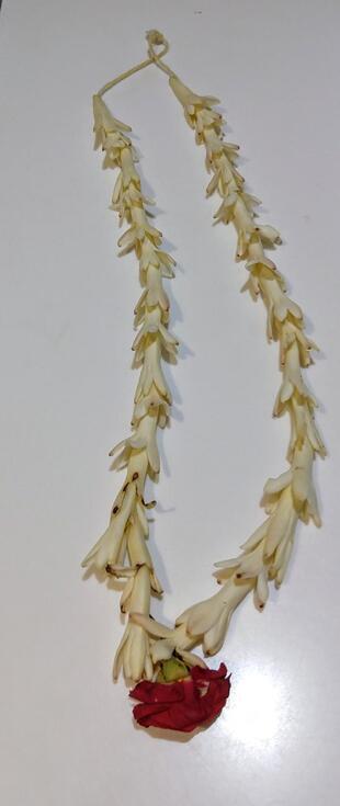 Ideal Garden Restaurant