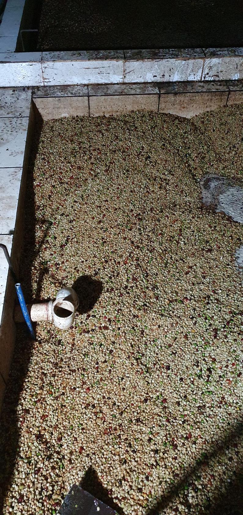 Fazenda Paraiso do Rancho/Clemilson