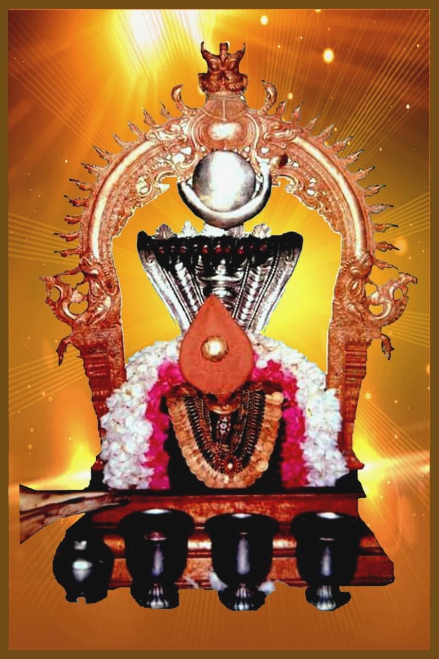 SRISUYAMBU JUICE CORNER