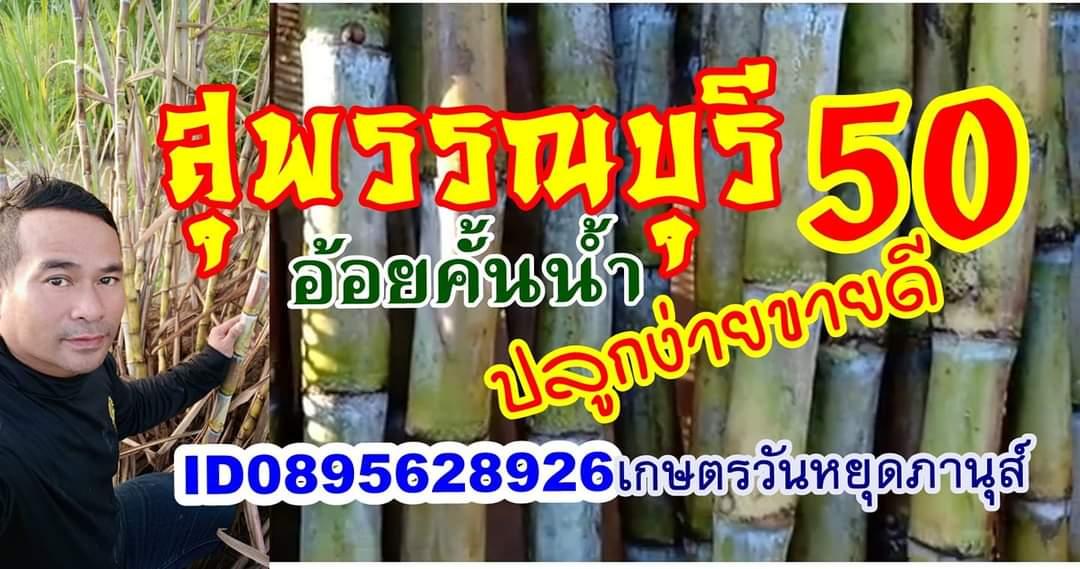 น้ำอ้อยคั้นสดหนองบัวทอง